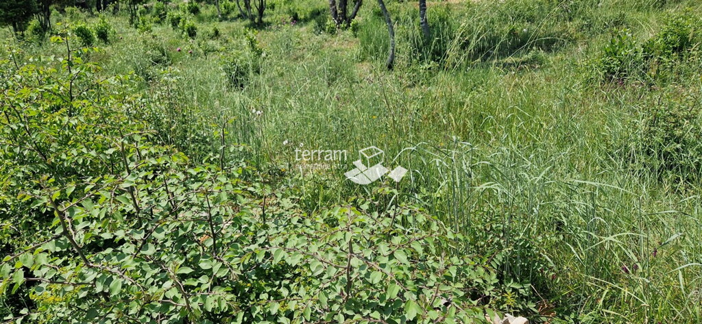 Image 6222252 - 1