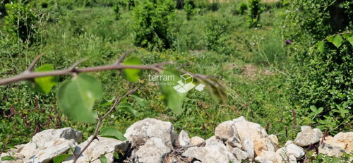 Thumbnail 6222252 - 2