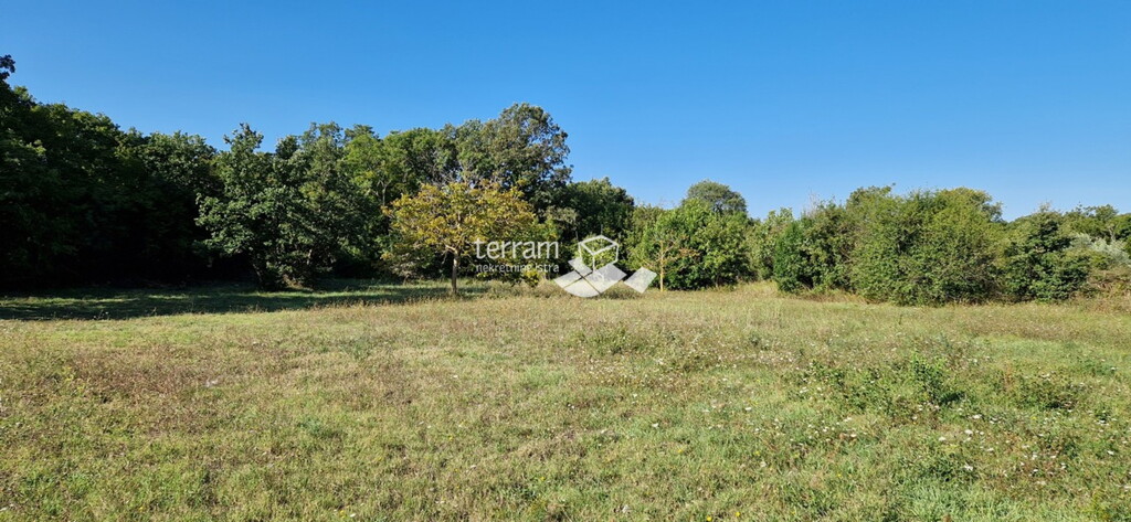 Image 6222256 - 3