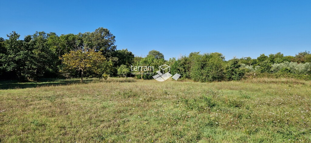 Image 6222256 - 4