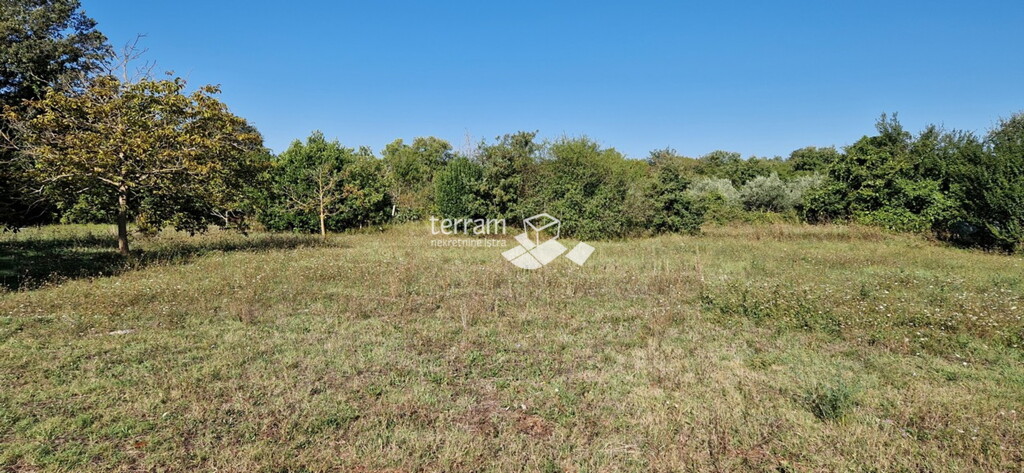 Image 6222256 - 2