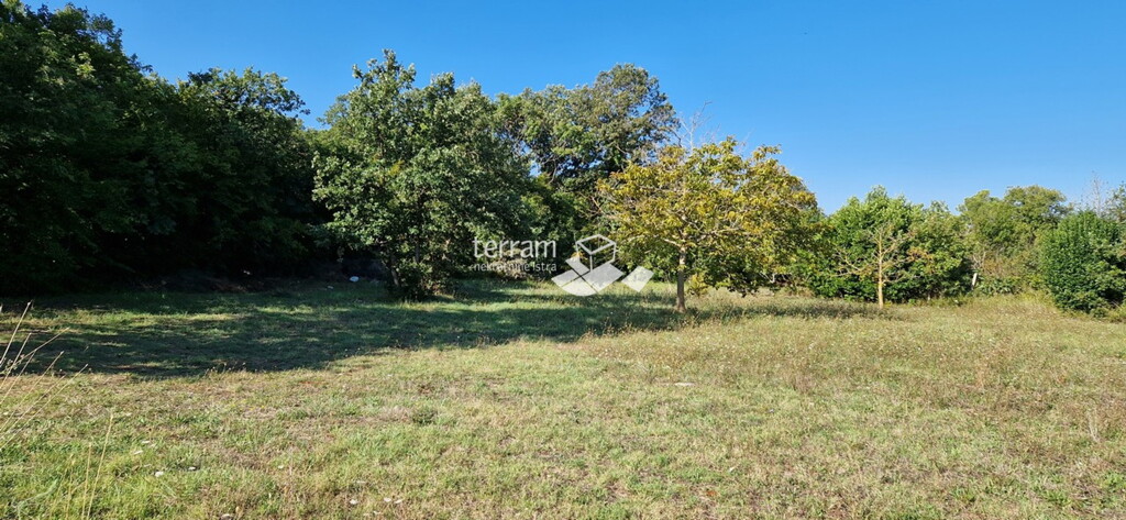 Image 6222256 - 1