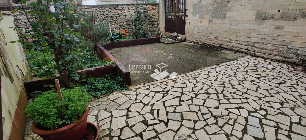 Image 6222266 - 13