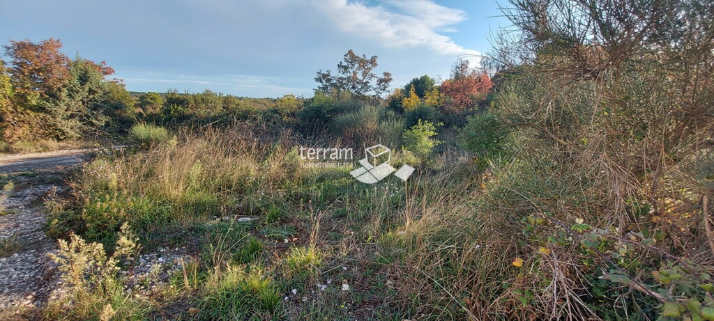 Image 6222280 - 1