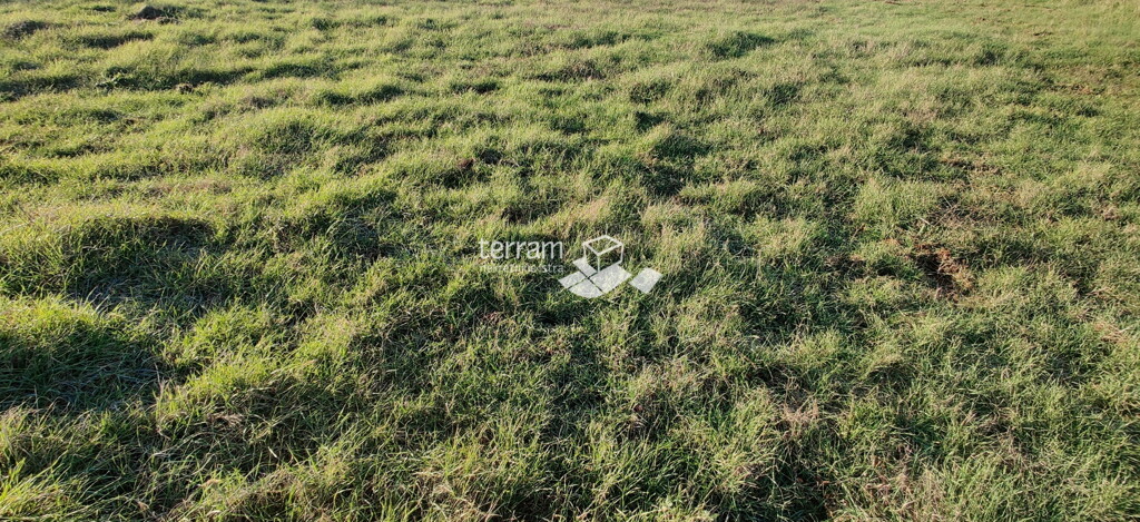 Image 6222287 - 1