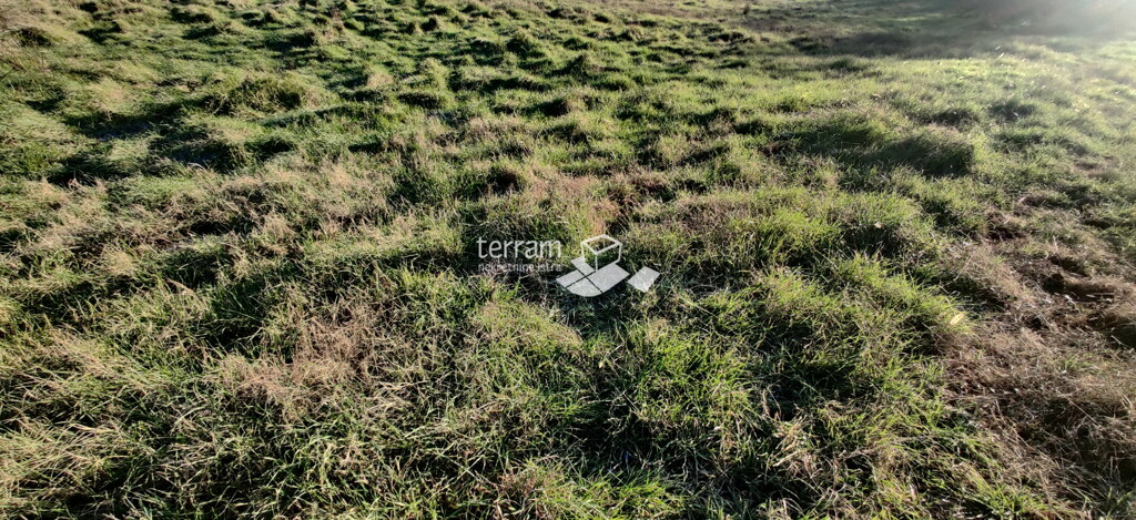 Image 6222287 - 2