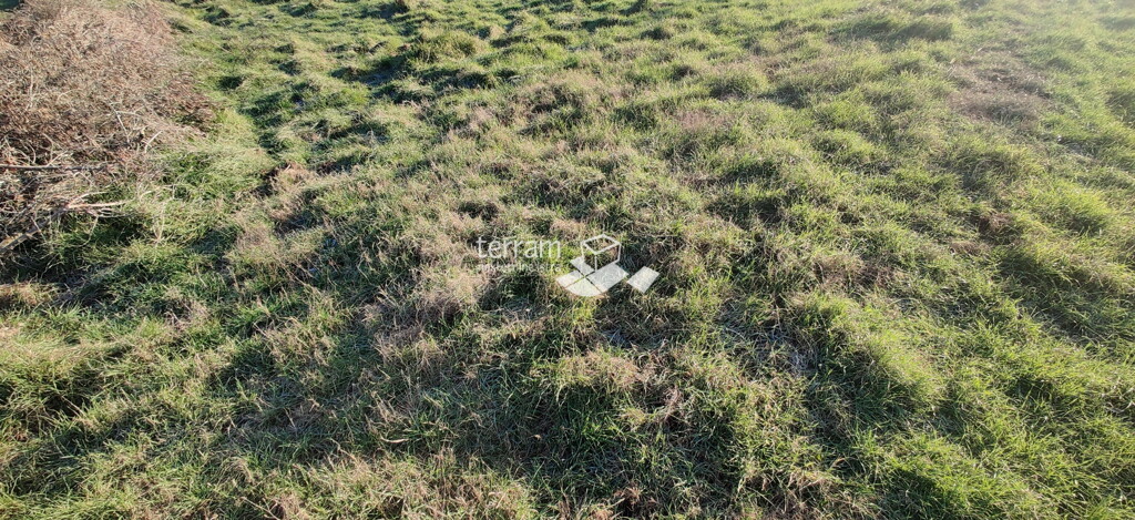 Image 6222292 - 1