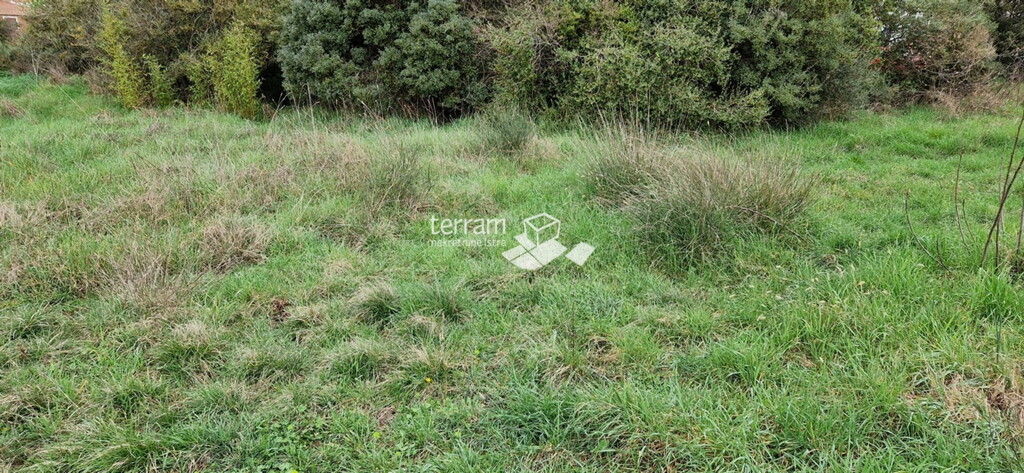 Image 6222294 - 5