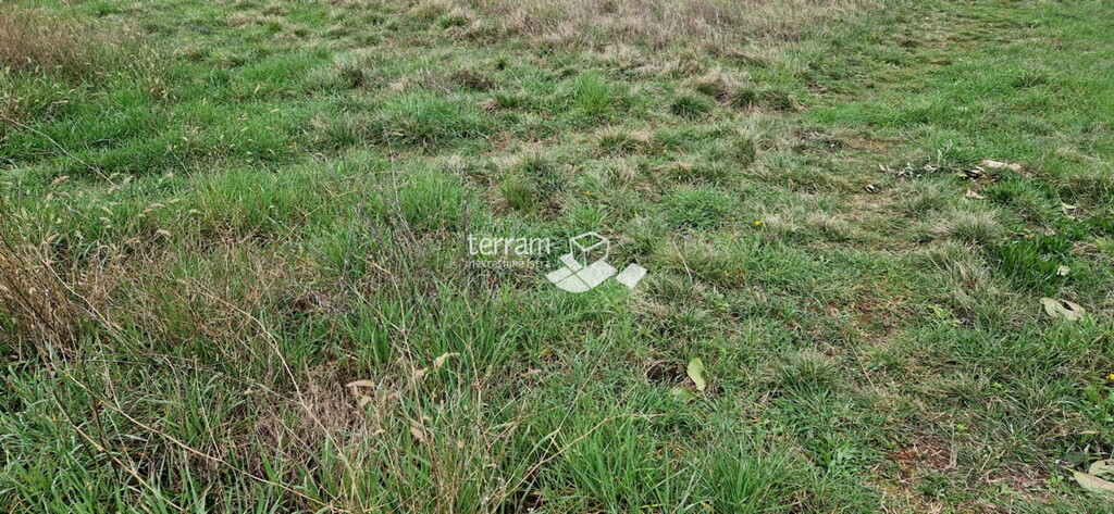 Image 6222294 - 2