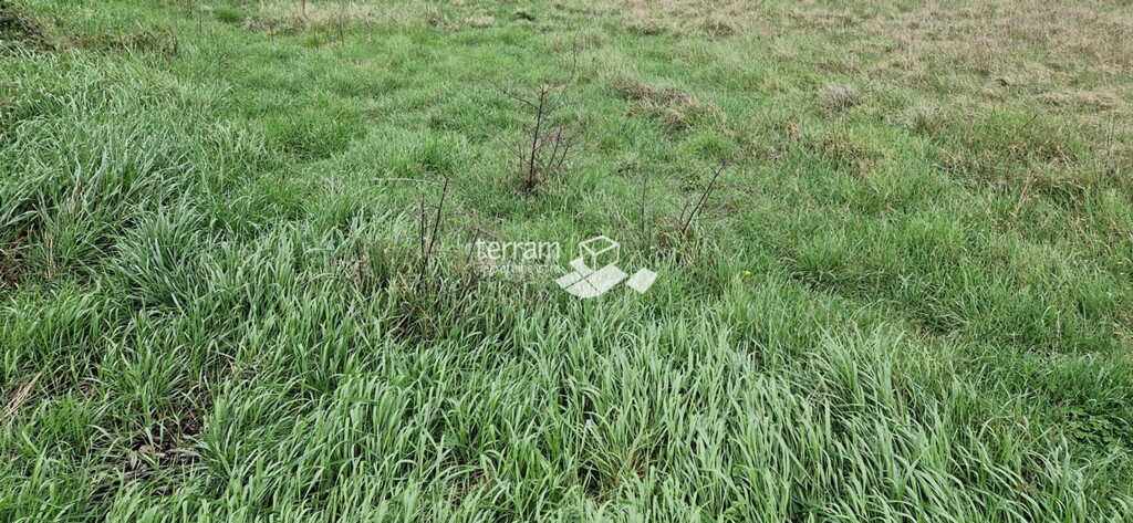 Image 6222294 - 3