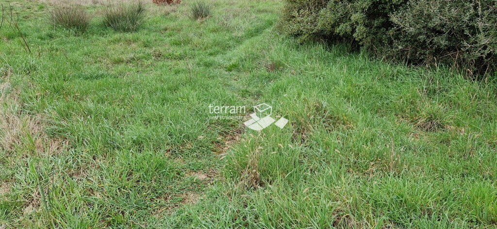 Image 6222294 - 1