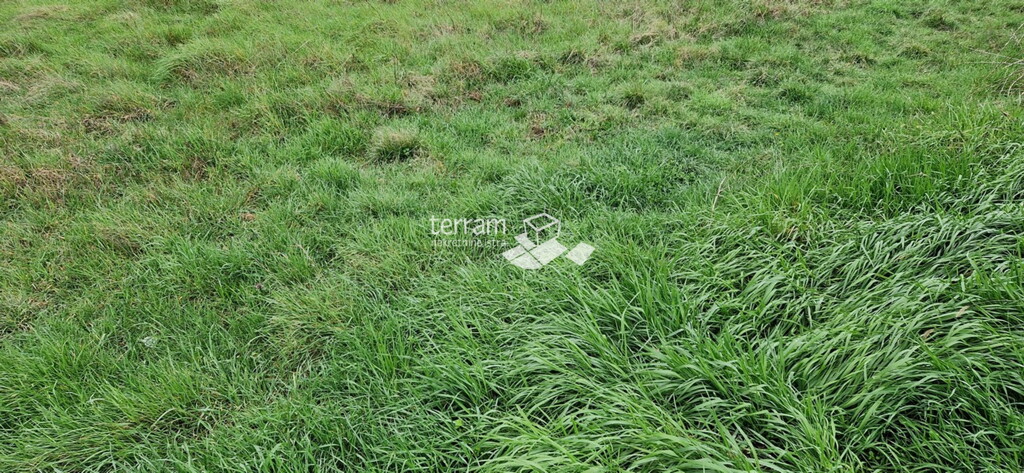 Image 6222294 - 4