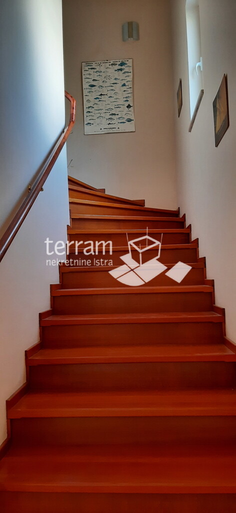 Image 6222299 - 16