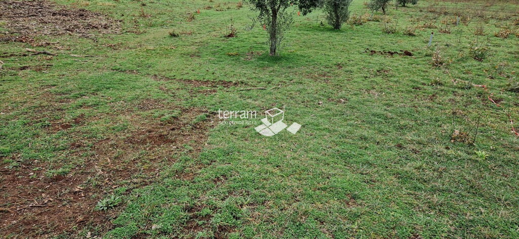 Image 6222303 - 3