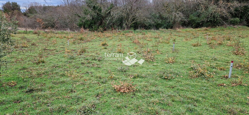 Image 6222303 - 1