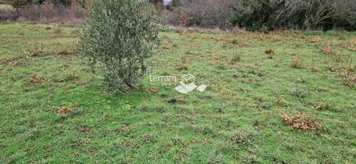 Thumbnail 6222303 - 7