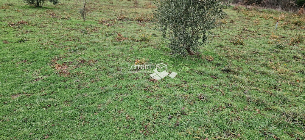 Image 6222303 - 5