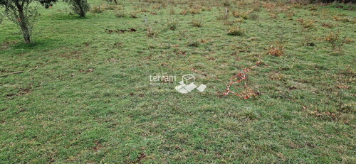 Thumbnail 6222303 - 4