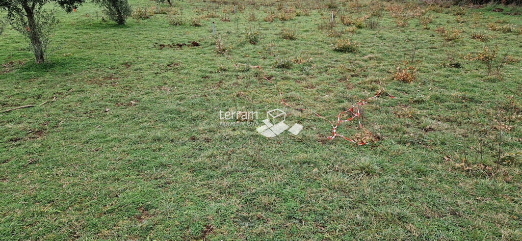 Image 6222303 - 4