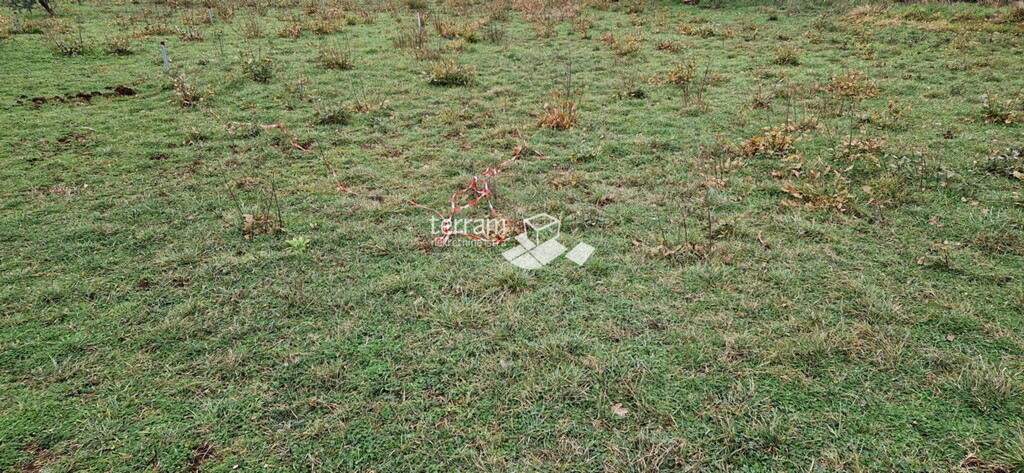 Image 6222303 - 2