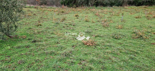 Thumbnail 6222303 - 6