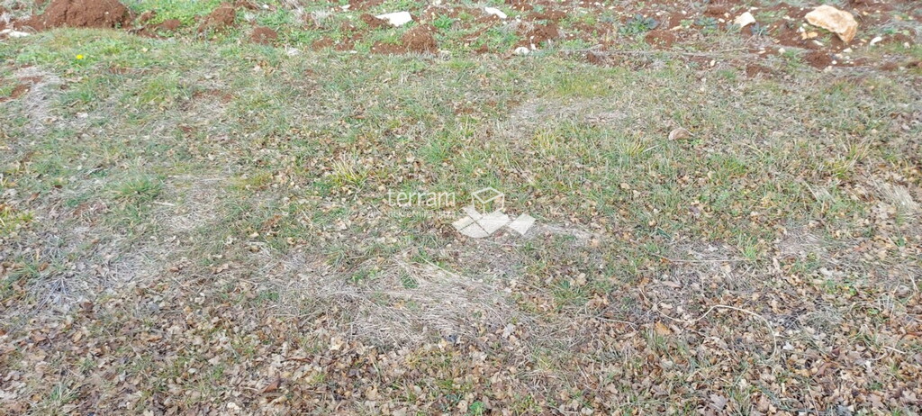 Image 6222307 - 1