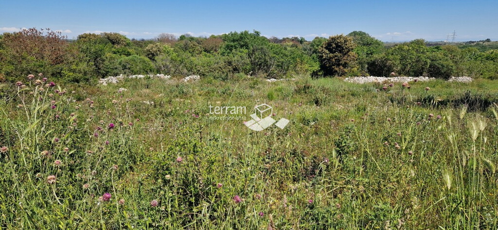 Image 6222312 - 1