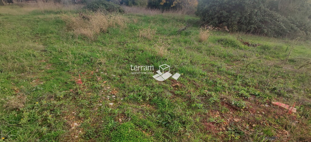 Image 6222326 - 2