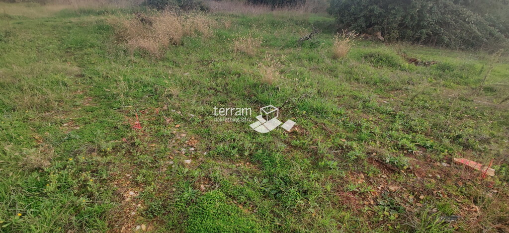Image 6222326 - 3