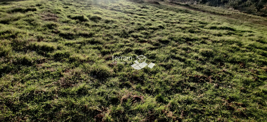 Image 6222328 - 2