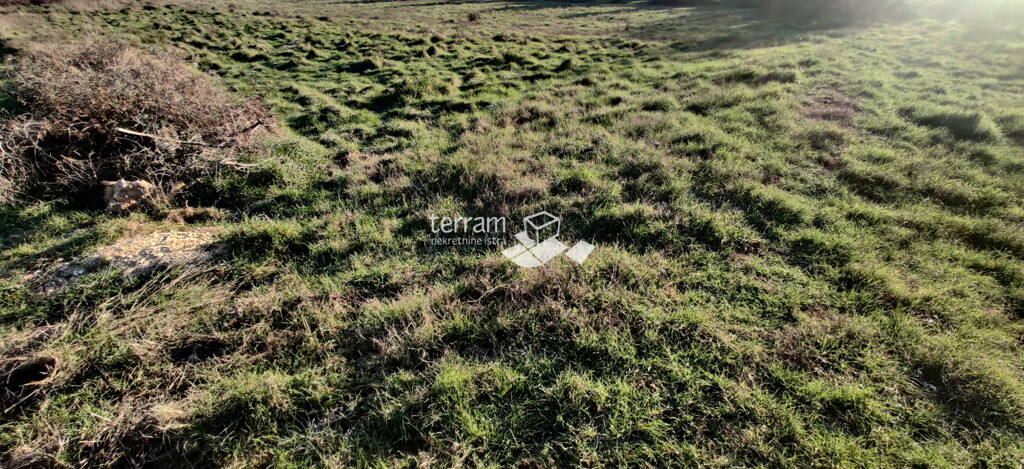 Image 6222328 - 1