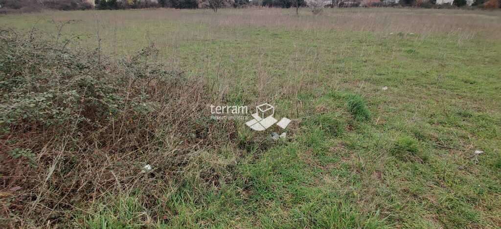 Image 6222330 - 3
