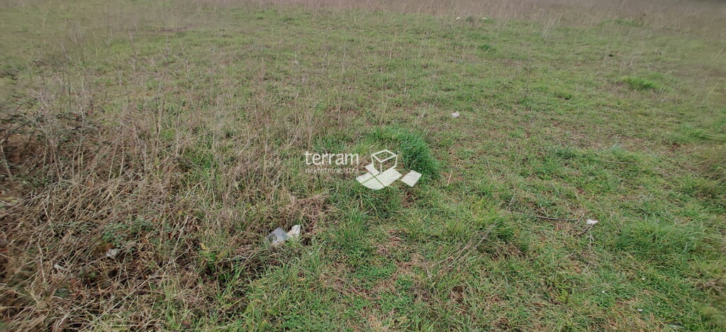 Image 6222330 - 1