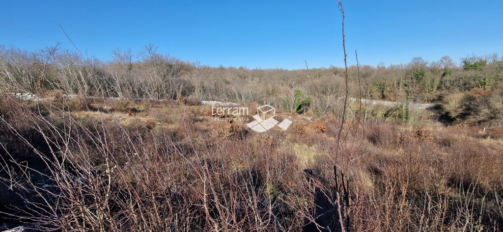 Image 6222331 - 5