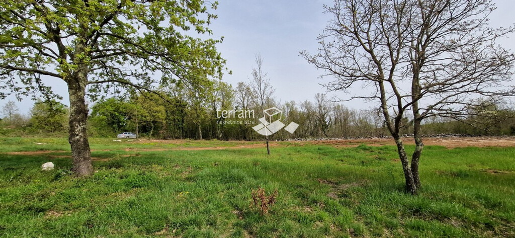 Image 6222337 - 3