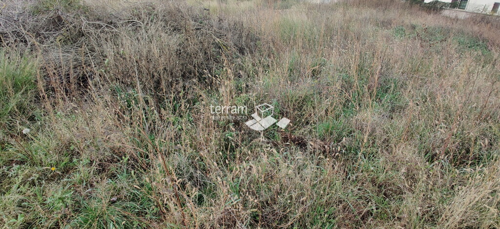 Image 6222340 - 2