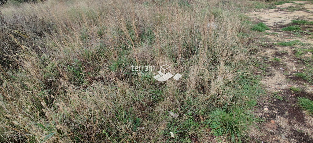 Image 6222340 - 1