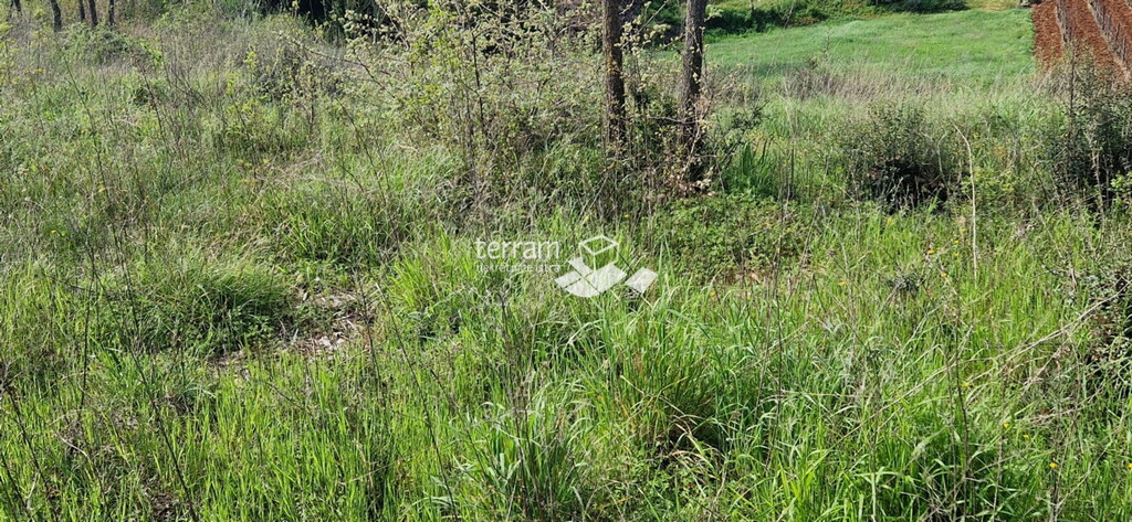 Image 6222351 - 4