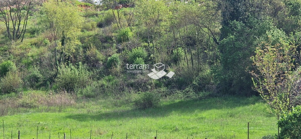 Image 6222351 - 1