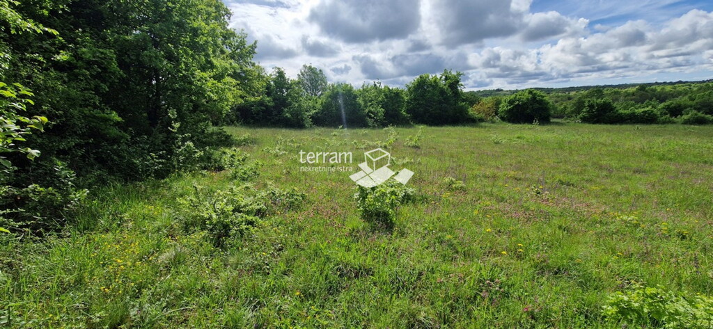 Image 6222358 - 3