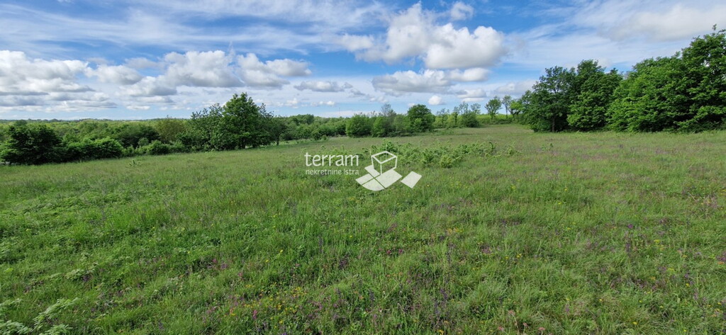 Image 6222358 - 2