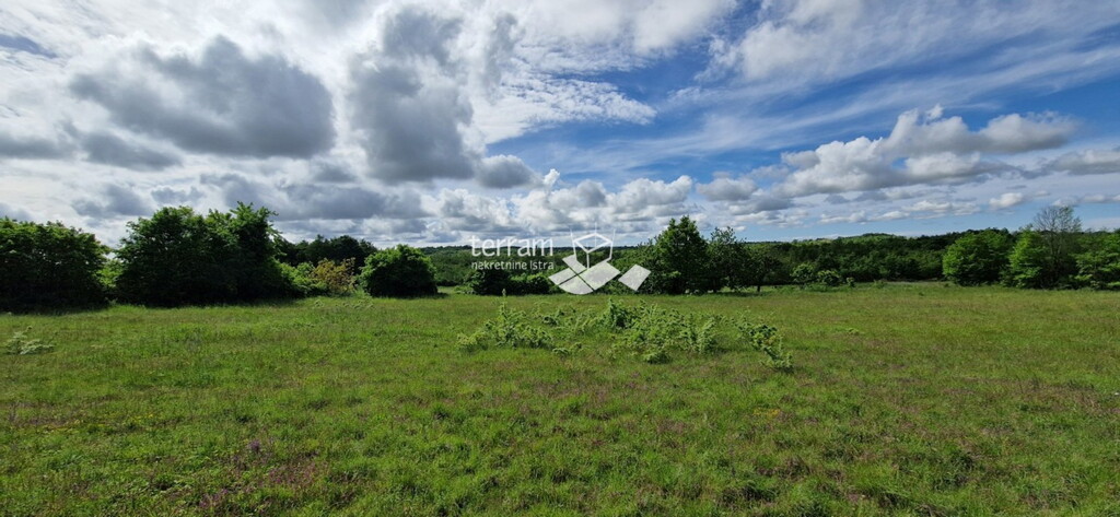 Image 6222358 - 1