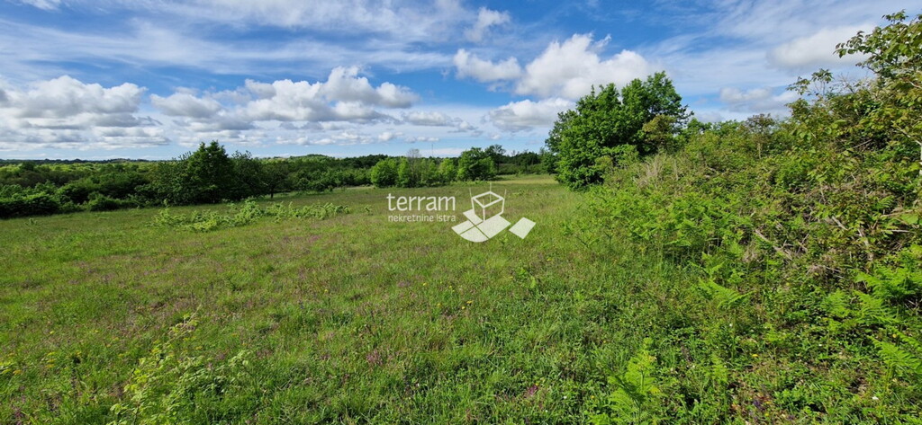 Image 6222358 - 5