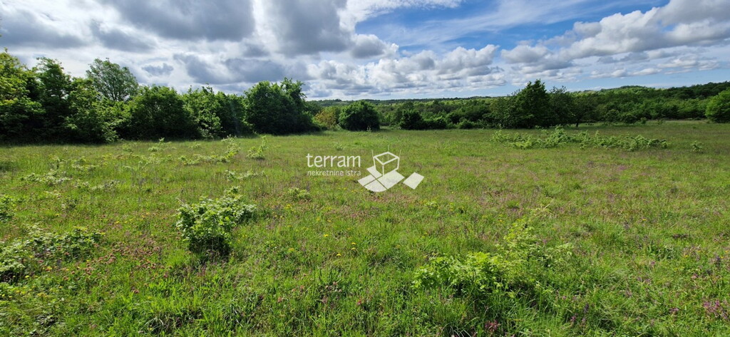 Image 6222358 - 4