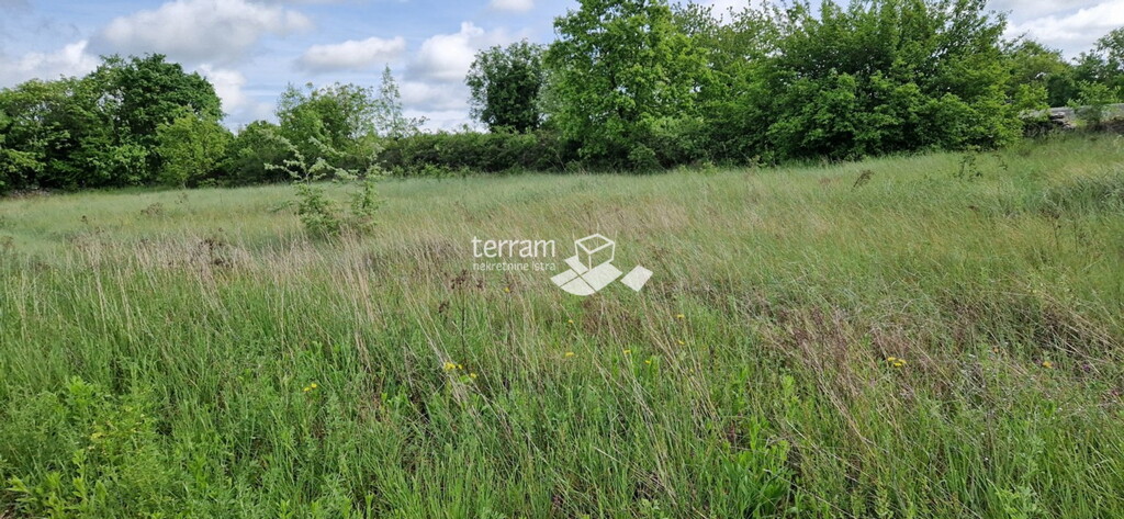 Image 6222359 - 4