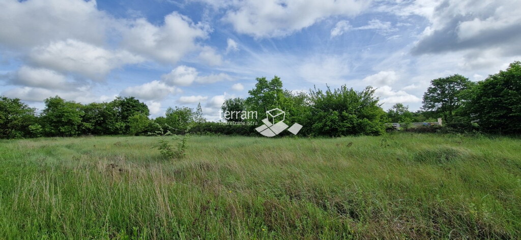 Image 6222359 - 1