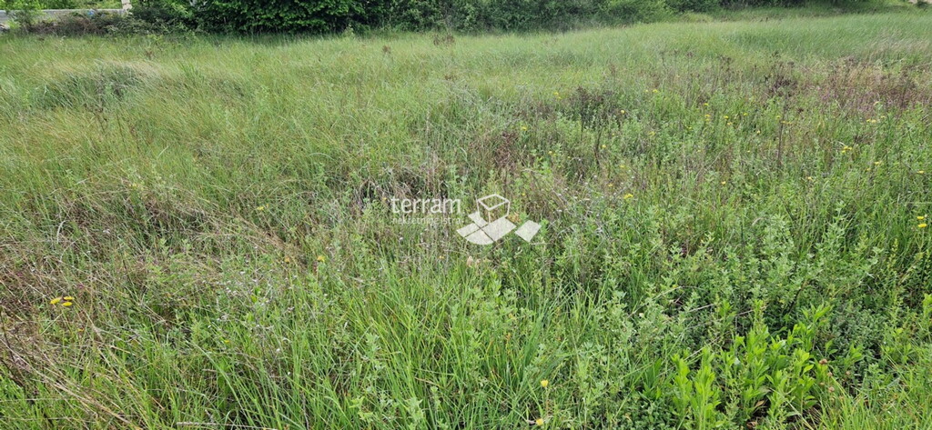 Image 6222359 - 3