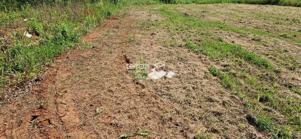 Image 6222361 - 5