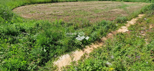Thumbnail 6222361 - 1