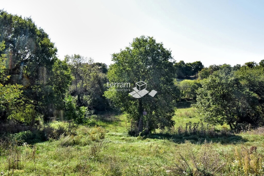 Image 6222362 - 3